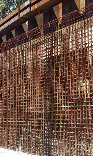 Sydney Light Rail (3)